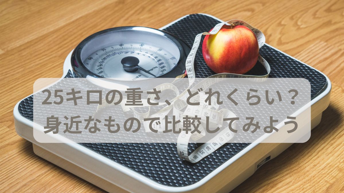 25キロの重さ　どれくらい　身近なもので比較してみよう